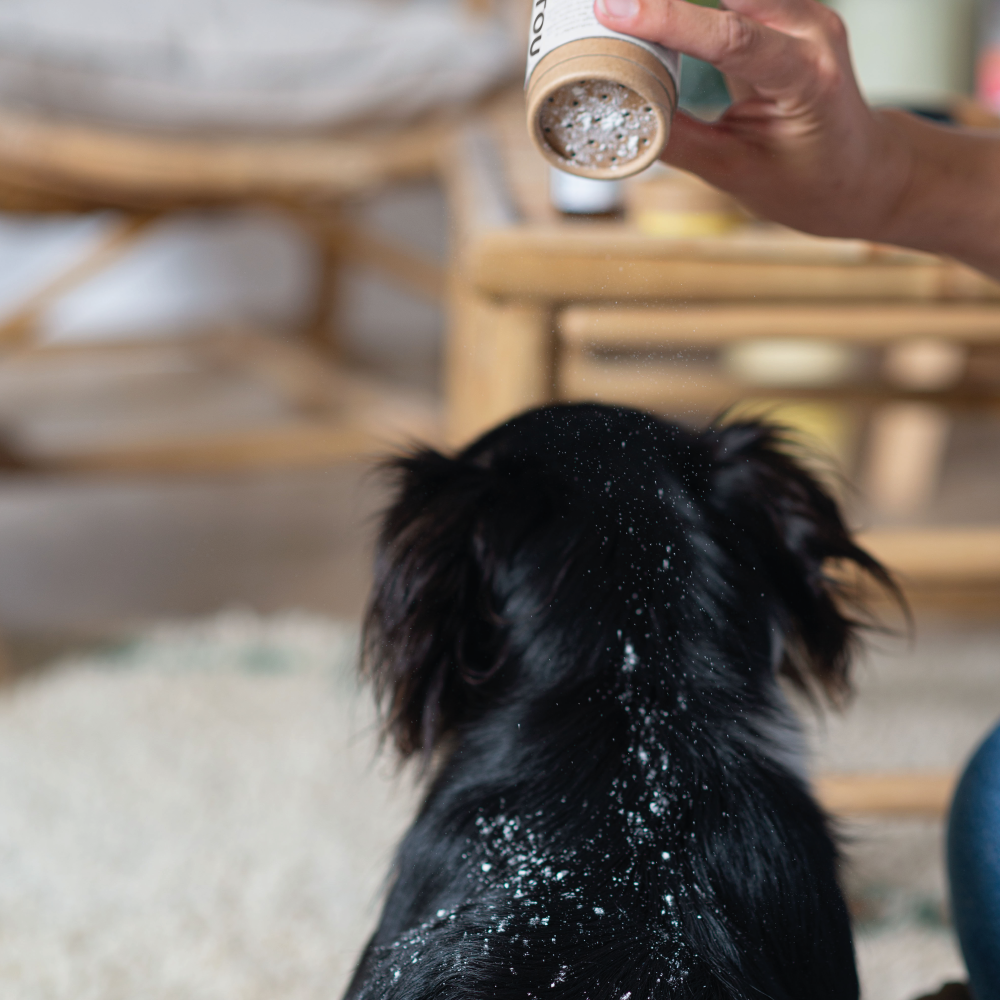 Bio-Trockenshampoo für Hunde