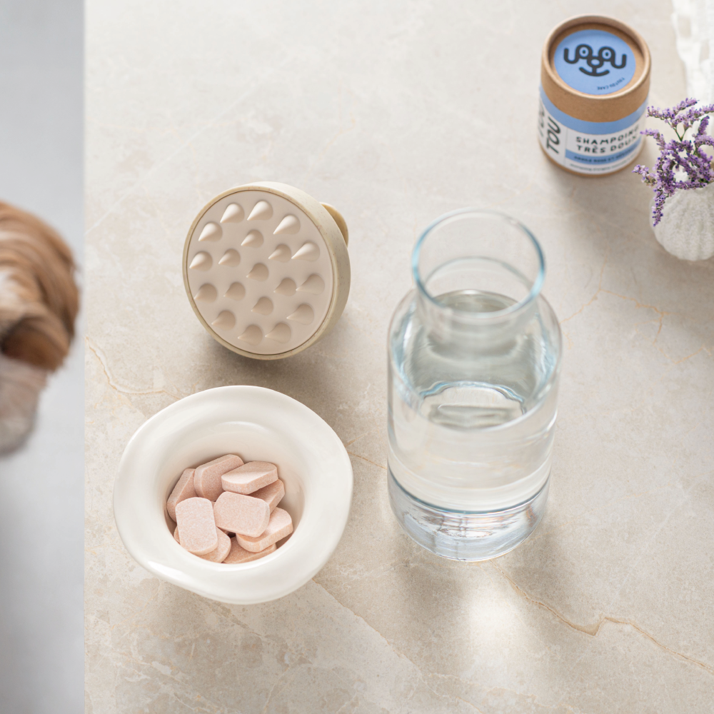 Sanftes Hundeshampoo